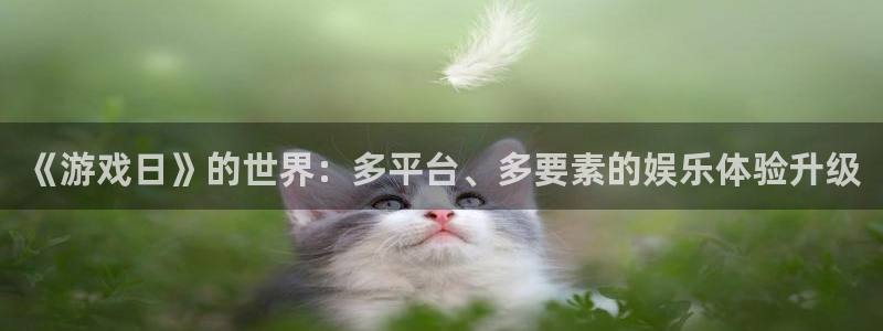 沐鸣Ii：《游戏日》的世界：多平台、多要素的娱乐体验升级