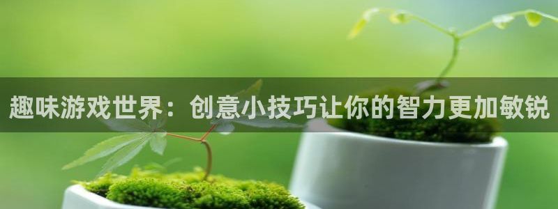 沐鸣平台登录：趣味游戏世界：创意小技巧让你的智力更加敏锐