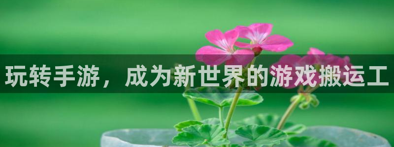 沐鸣注册网站是什么