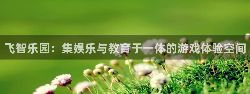 沐鸣注册网站官网