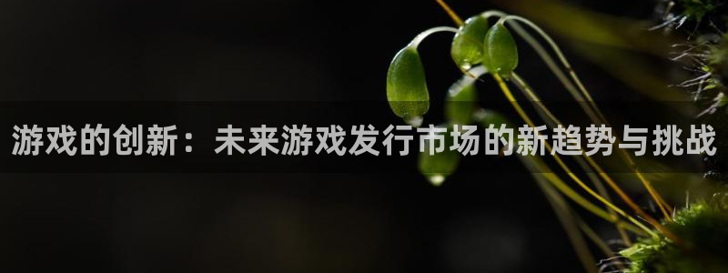 沐鸣总代理