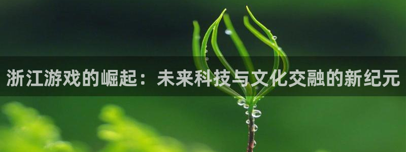 沐鸣app下载地址：浙江游戏的崛起：未来科技与文化交融的新纪