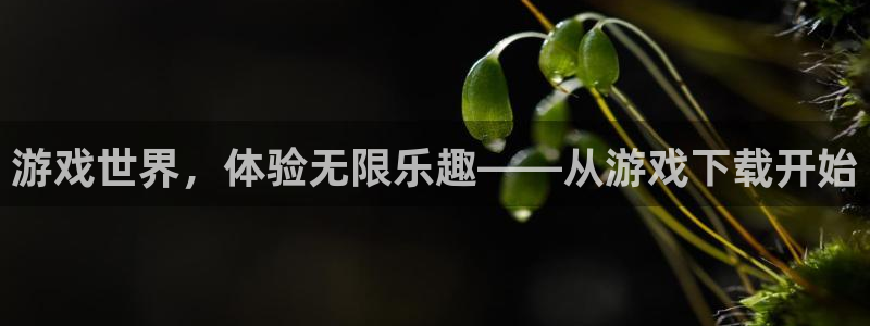 沐鸣官网：游戏世界，体验无限乐趣——从游戏下载开始