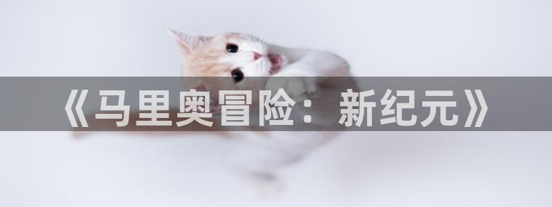 沐鸣平台负责人
