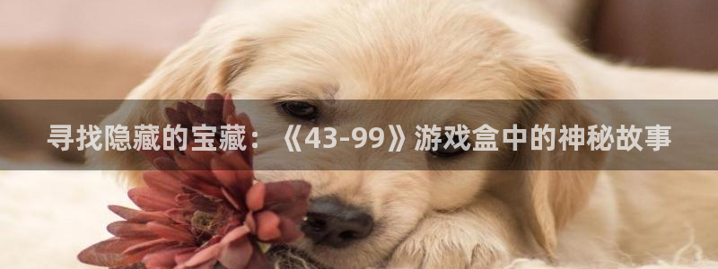 沐鸣平台登陆线路：寻找隐藏的宝藏：《43-99》游戏盒中的神