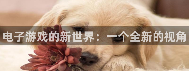 沐鸣注册登录入口