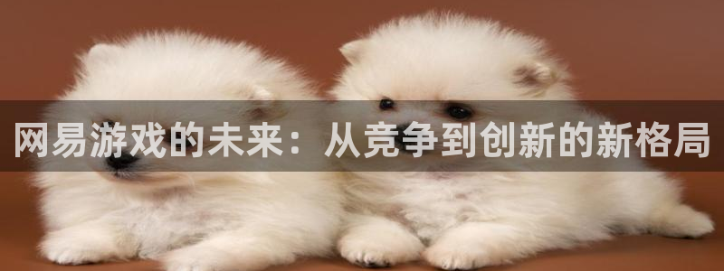 沐鸣登录地址：网易游戏的未来：从竞争到创新的新格局