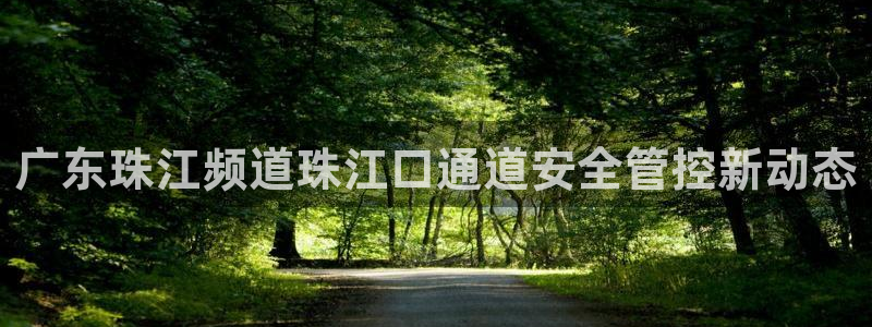 鲸鱼足球体育直播