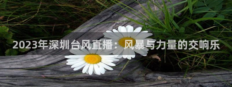 鲸鱼体育tv在线观看