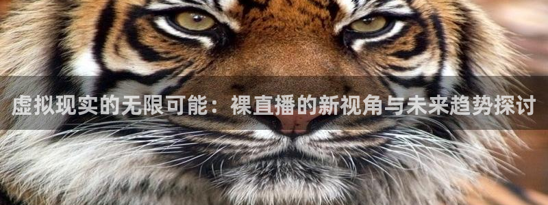 鲸鱼体育.：虚拟现实的无限可能：裸直播的新视角与未来趋势探讨