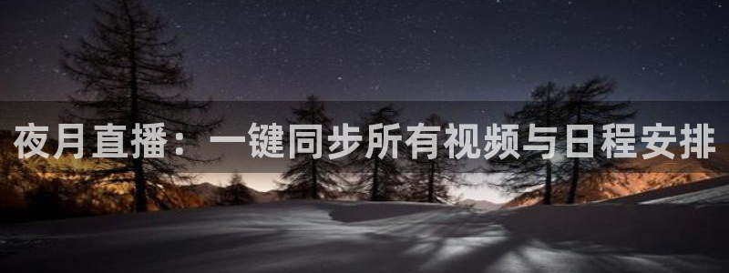 鲸鱼直播nba：夜月直播：一键同步所有视频与日程安排