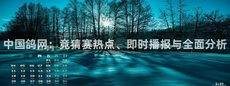 鲸鱼体育免费版：中国鸽网：竞猜赛热点、即时播报与全面分析