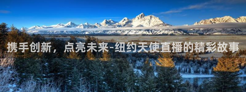 鲸鱼体育怎么免费看直播：携手创新，点亮未来-纽约天使直播的精彩故事