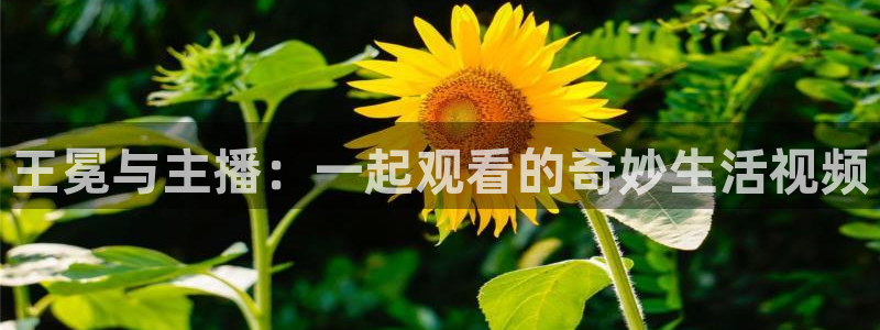 蓝鲸鱼体育直播：王冕与主播：一起观看的奇妙生活视频