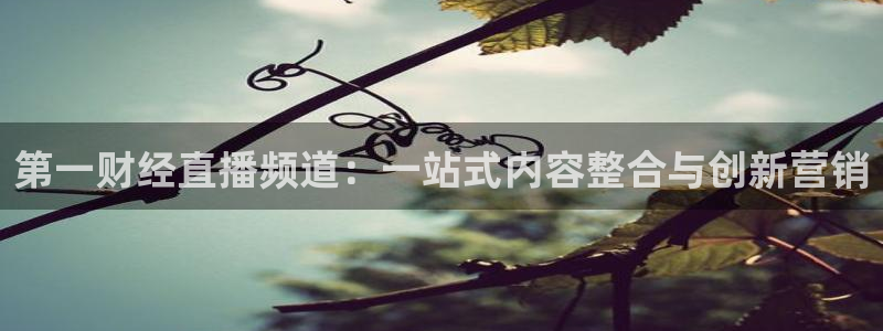 鲸鱼体育免费观看高清：第一财经直播频道：一站式内容整合与创新营销