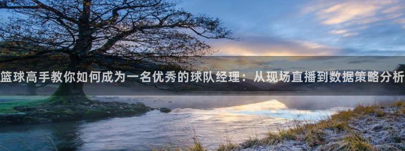 足球鲸鱼直播：篮球高手教你如何成为一名优秀的球队经理：从现场直播到数据策略分析