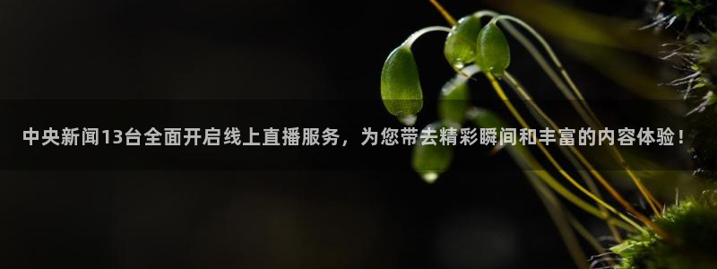 鲸鱼体育直播在线观看免费：中央新闻13台全面开启线上直播服务，为您带去精彩瞬间和丰富的内容体验！