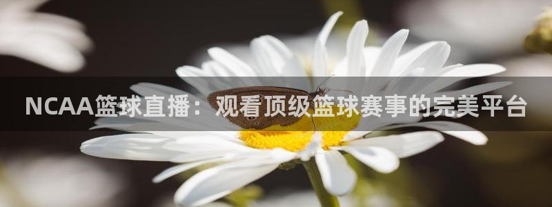 足球鲸鱼直播：NCAA篮球直播：观看顶级篮球赛事的完美平台