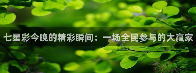 鲸鱼体育app：七星彩今晚的精彩瞬间：一场全民参与的大赢家